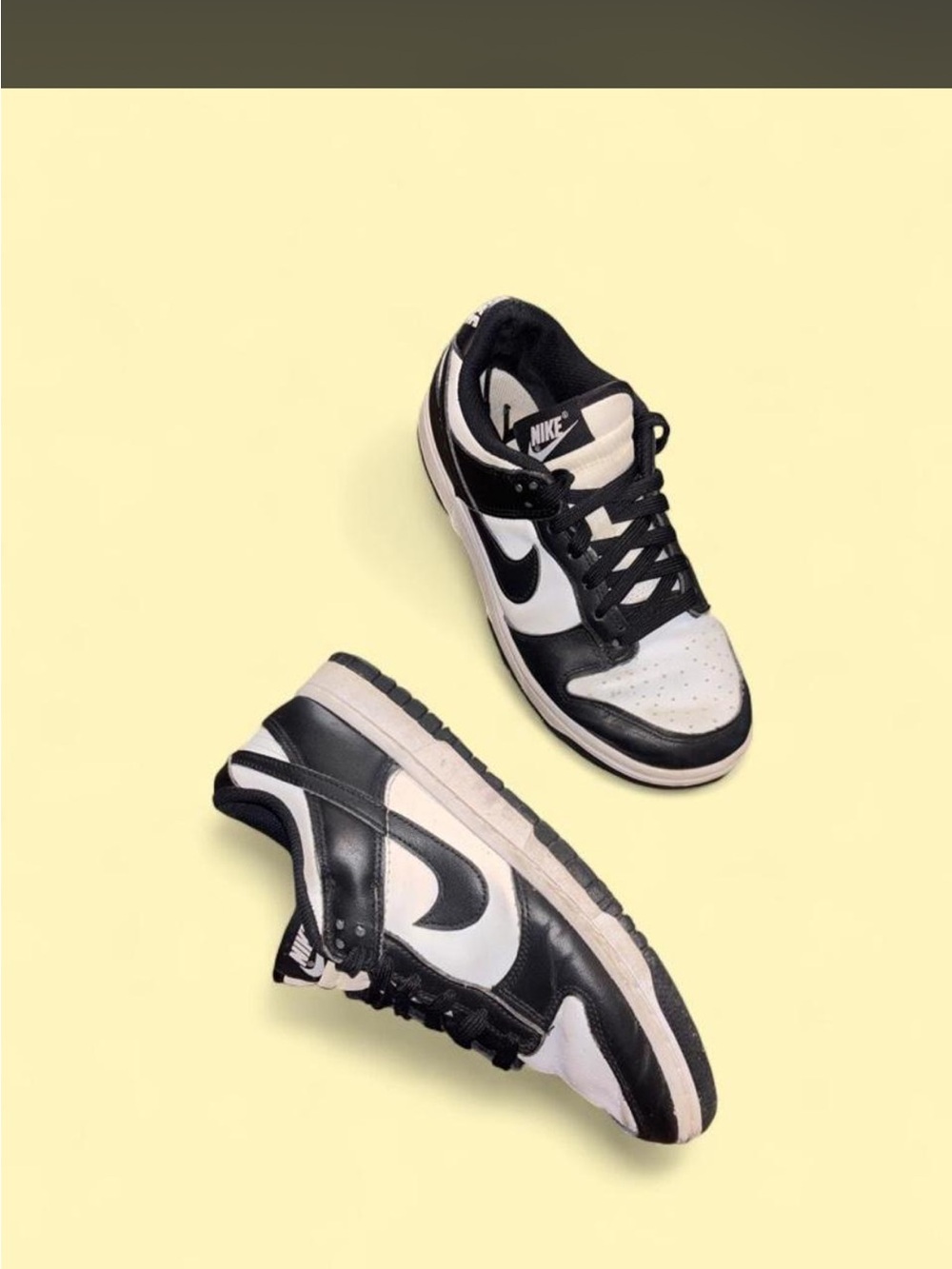 Nike Panda | W8